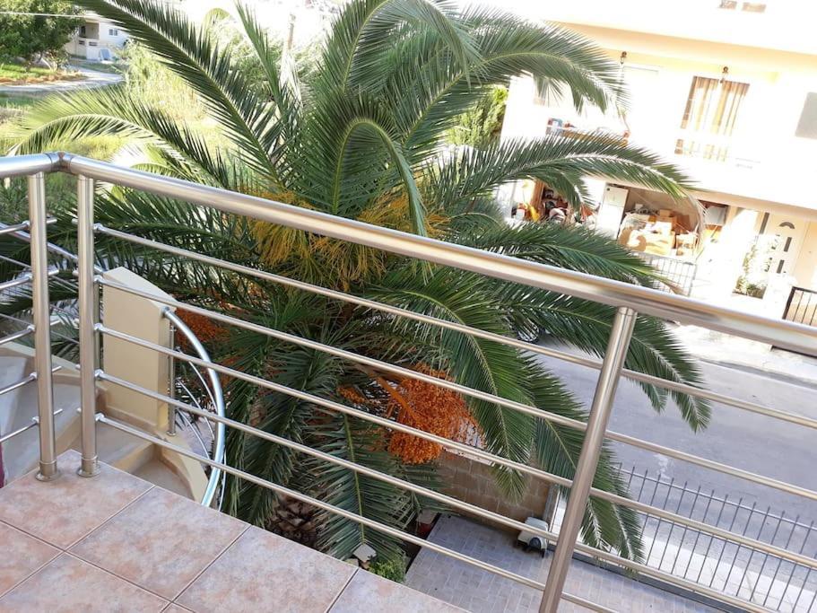 Cozy New Apartments Nea Chora Hanya Dış mekan fotoğraf